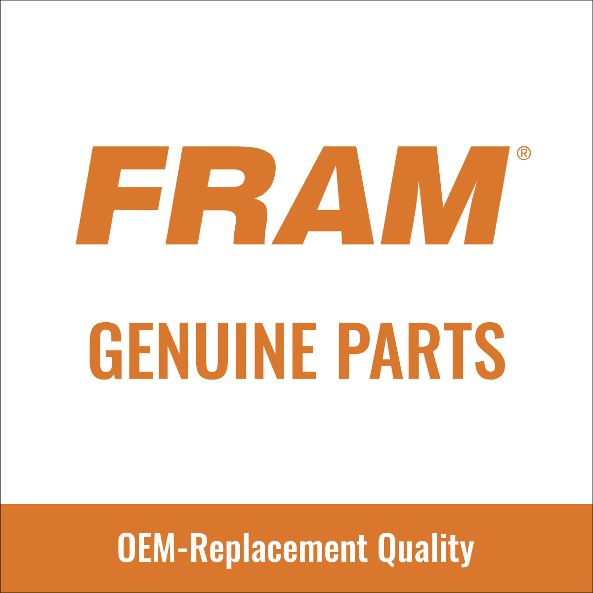 12 pc Engine Oil Filters for Ford F150 Y49724