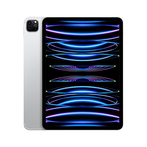 11-inch Wi-Fi 128GB Space Gray iPad Pro P52459