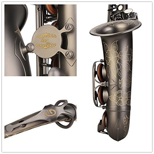 Black Lacquer E Flat Alto Saxophone with Case R17271