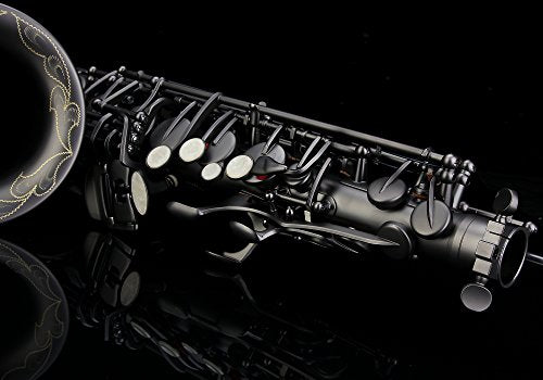 Black Lacquer E Flat Alto Saxophone with Case R17271