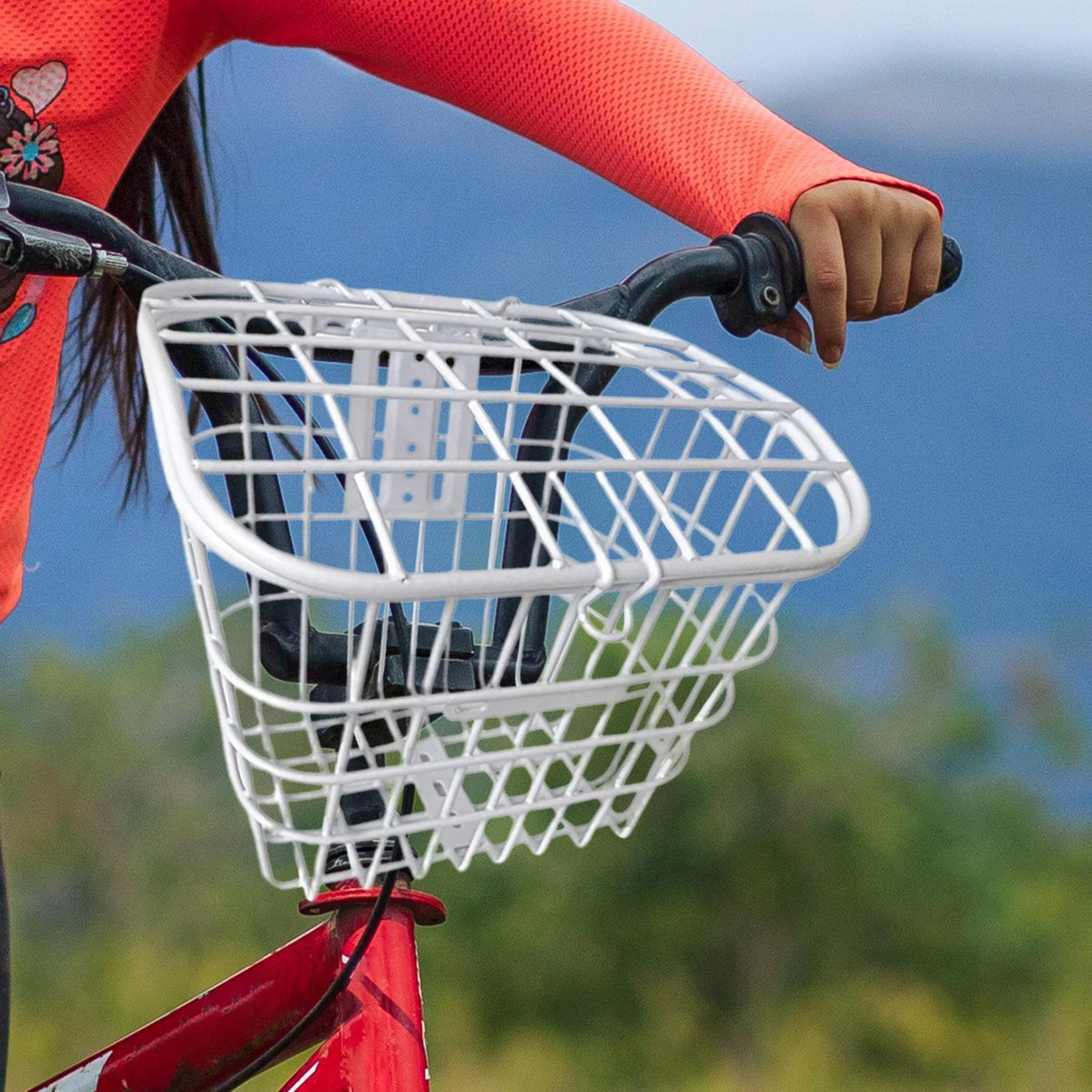 Front Bike Basket J93527
