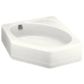 Vertical Spray Bidet Faucet with Lever Handles Q513541