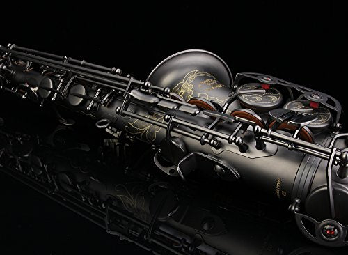 Black Lacquer E Flat Alto Saxophone with Case R17271