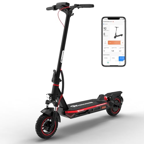 800W Electric Scooter with 10'' Honeycomb Solid Tires X9013
