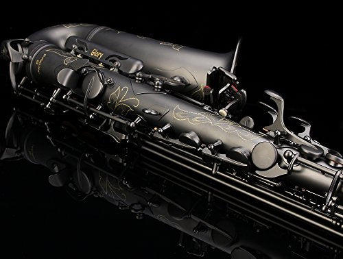 Black Lacquer E Flat Alto Saxophone with Case R17271