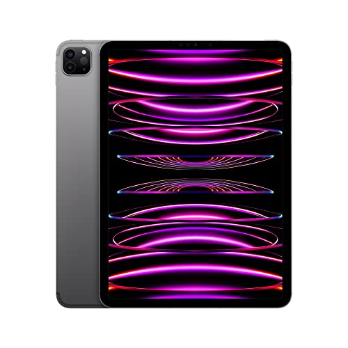 11-inch Wi-Fi 128GB Space Gray iPad Pro P52459