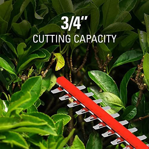 40V 24" Cordless Hedge Trimmer with 3.0Ah Battery and Charger R3678