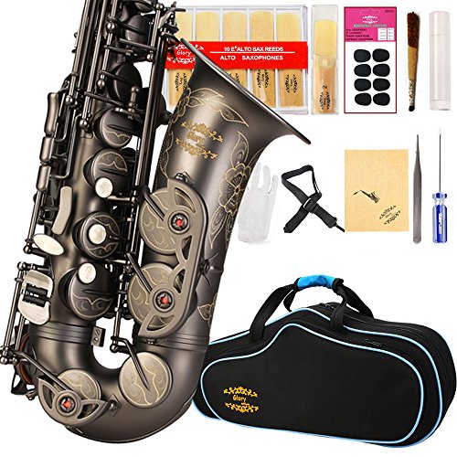 Black Lacquer E Flat Alto Saxophone with Case R17271