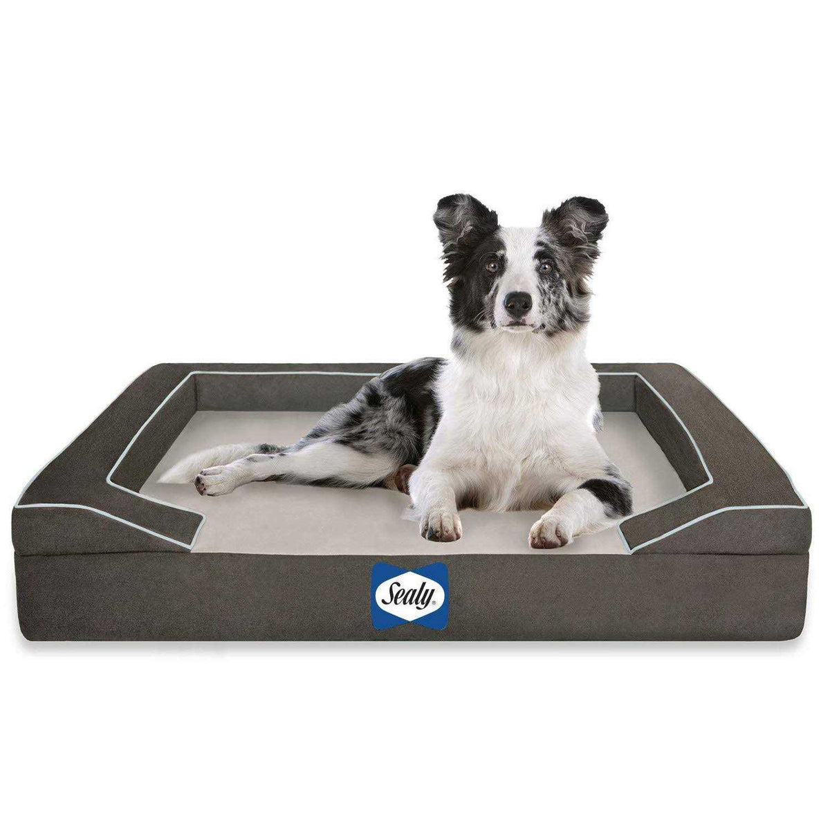 Orthopedic Memory Foam Dog Bed R453171