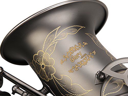 Black Lacquer E Flat Alto Saxophone with Case R17271