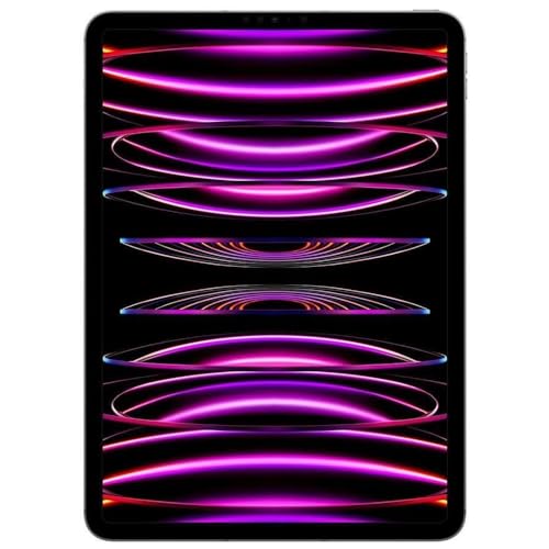 11-inch Wi-Fi 128GB Space Gray iPad Pro P52459