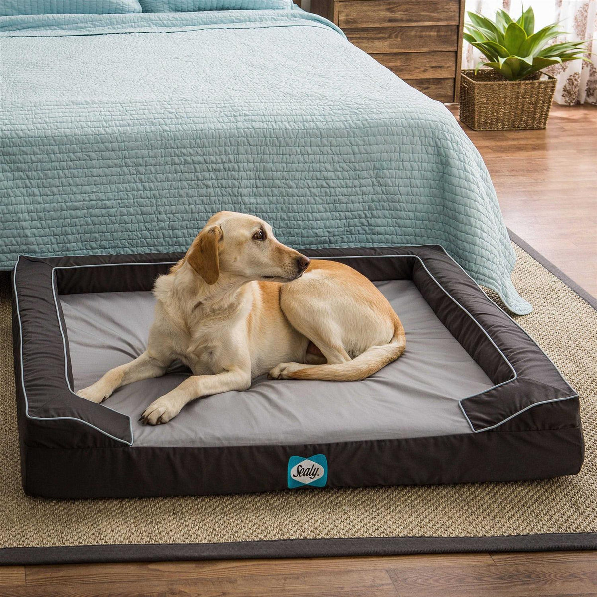 Orthopedic Memory Foam Dog Bed R453171