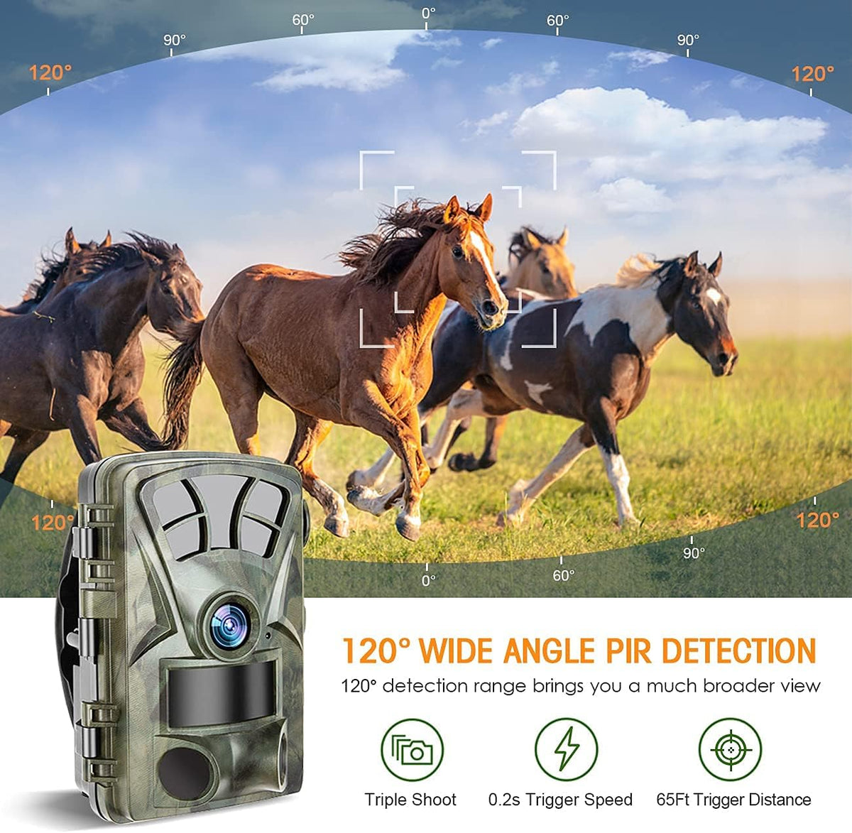1520P IP66 Waterproof Trail Camera with Night Vision C221