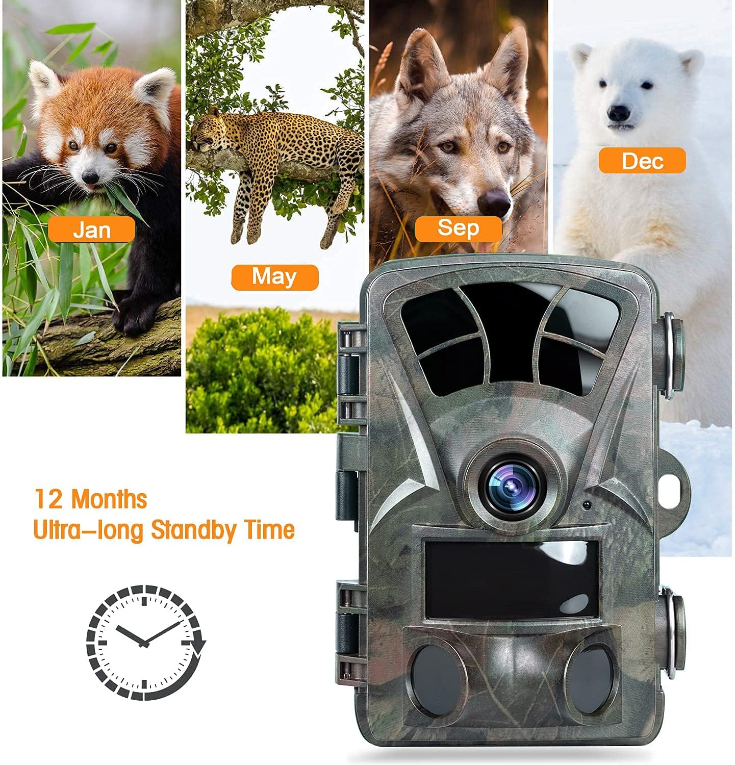 1520P IP66 Waterproof Trail Camera with Night Vision C221